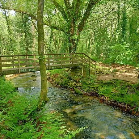 公寓 Ria Vista Atico *