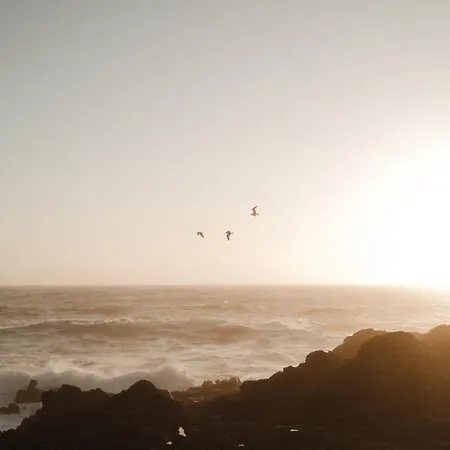 公寓 Ria Vista Atico *