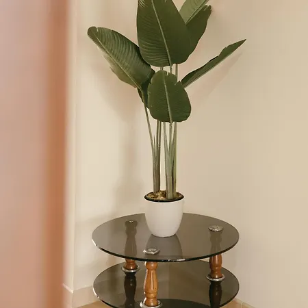 Ria Vista Atico 公寓 Rianjo