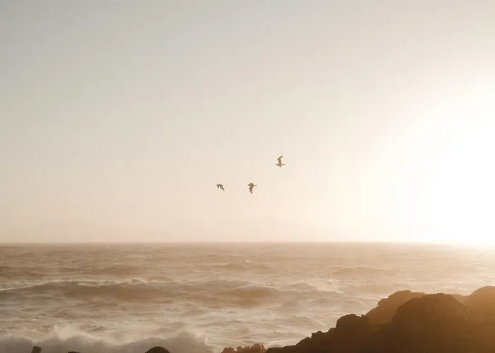 Apartmán Ria Vista Atico *